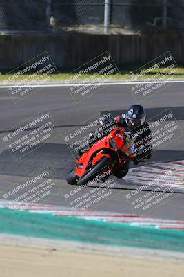 media/Mar-17-2024-Fastrack Riders (Sun) [[c7d6f8c14c]]/Level 2/Turn 6/